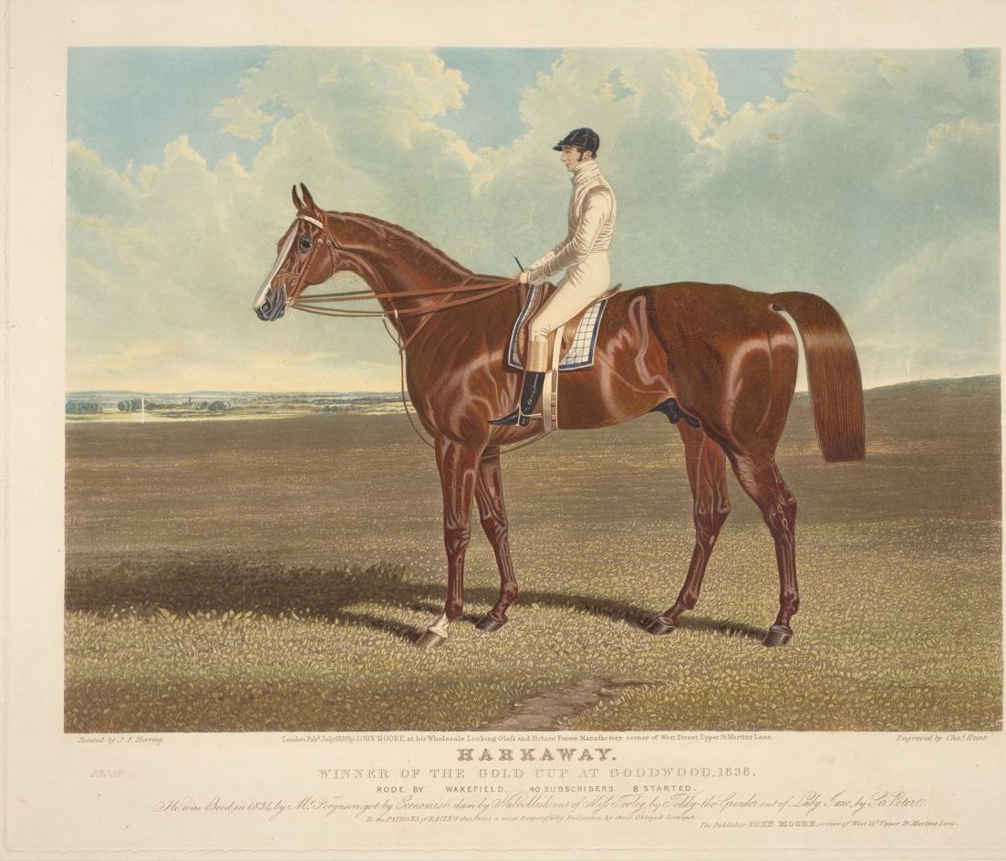 Harkaway, a Goodwood Gold Cup winner, in an 1838 racing print